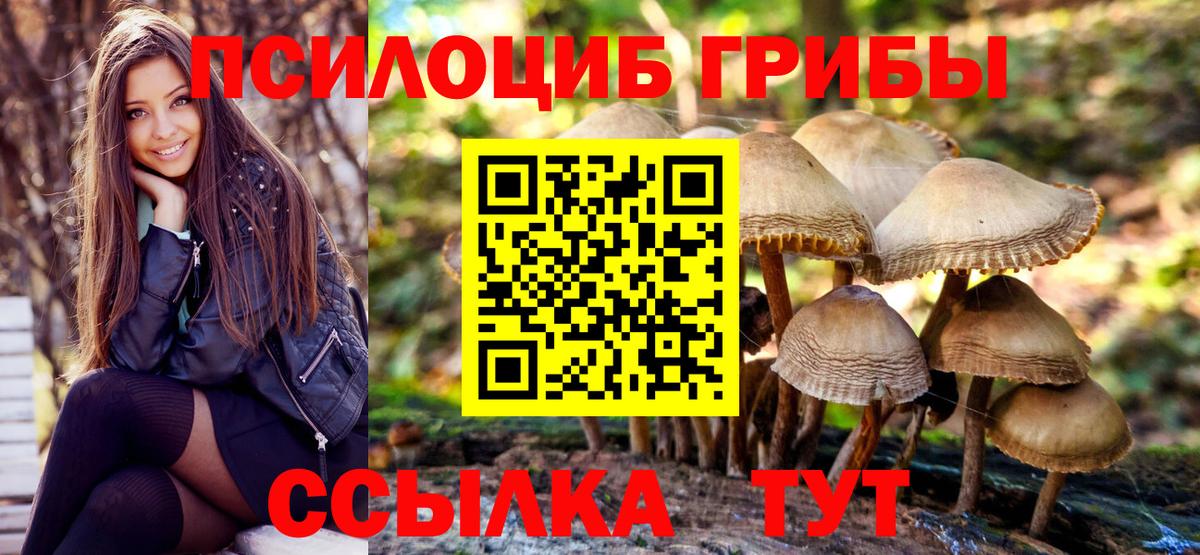Альфа ПВП СК   Каннабис  ТГК  Кокаин  Конопля  Карпинск  ГАШ  НБОМе  Меф МЯУ МЯУ   Вход с VPN 