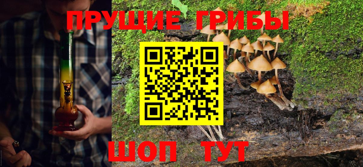 Карпинск  Галлюциногенные грибы Magic Shrooms  Вход с VPN 